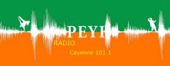 Logo # 402178 voor Radio Péyi Logotype wedstrijd