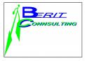 Logo design # 553434 for Logo pour Berit-Consulting contest