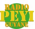 Logo # 401196 voor Radio Péyi Logotype wedstrijd