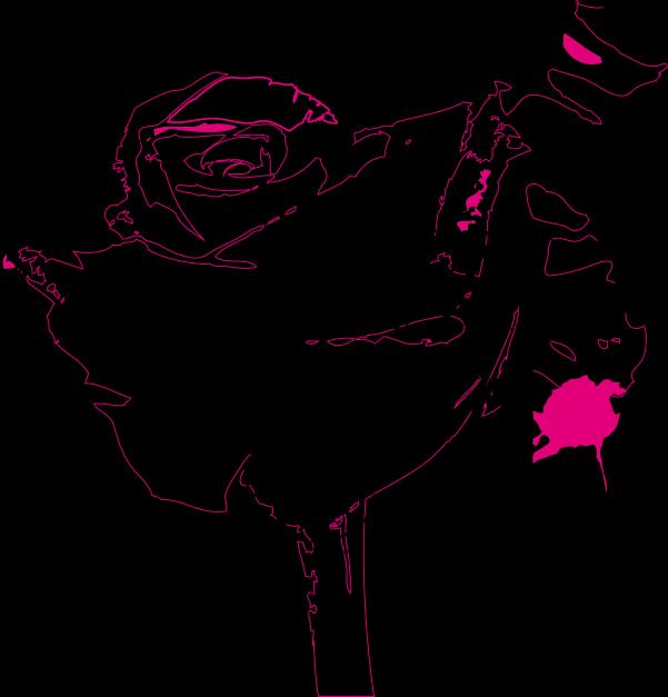 300x300