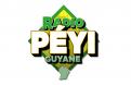 Logo design # 400709 for Radio Péyi Logotype contest