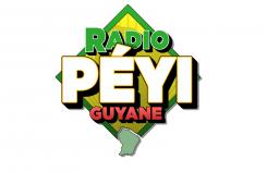 Logo design # 400710 for Radio Péyi Logotype contest