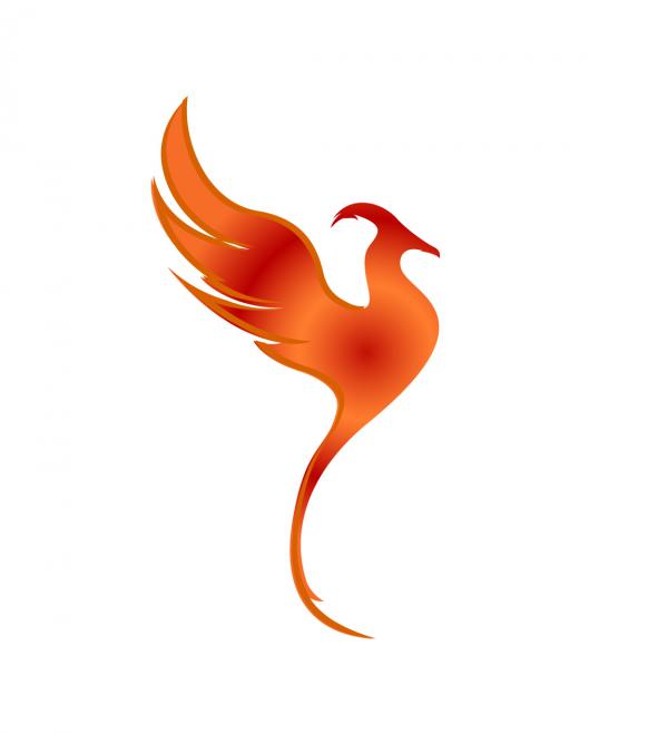 300x300