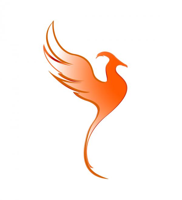 300x300