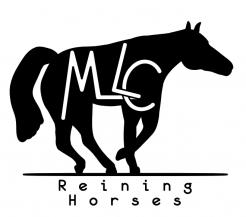 Logo design # 80809 for Logo for a Quarter Horses breeding for international Reining competition   contest