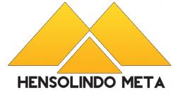 Logo design # 102990 for ensolindo Consulting contest