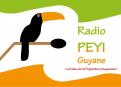 Logo design # 400423 for Radio Péyi Logotype contest