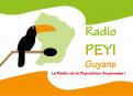 Logo design # 400425 for Radio Péyi Logotype contest
