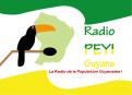 Logo design # 400428 for Radio Péyi Logotype contest