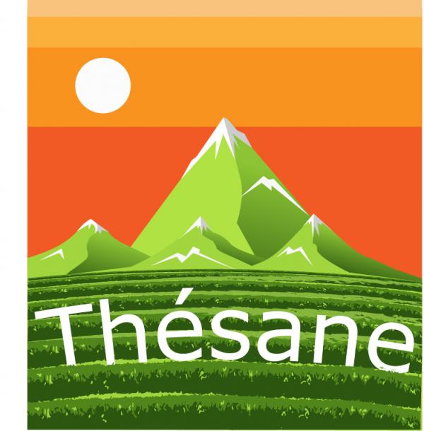 300x300