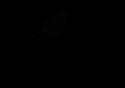 300x300