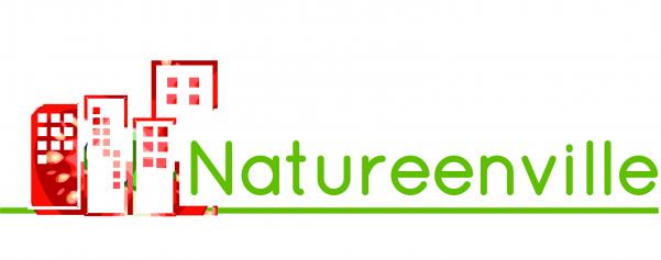 300x300