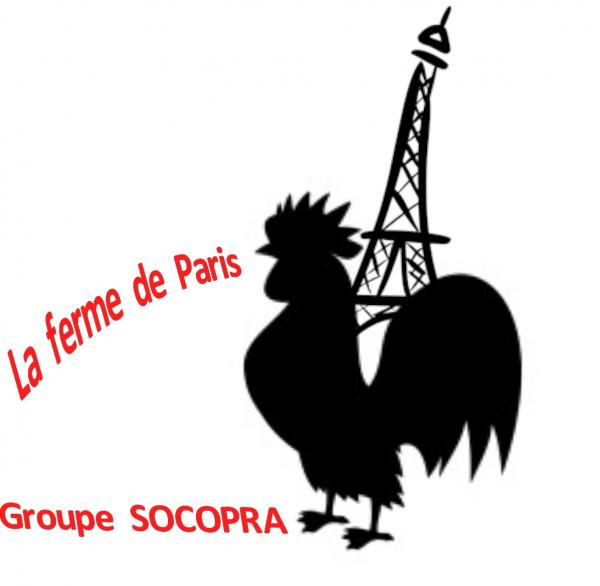 300x300