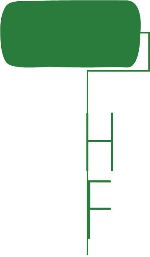 300x300