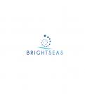 Logo & stationery # 1094491 for Logo   corporate identity for my new started company Brightseas contest