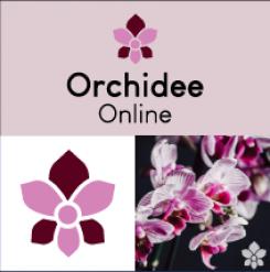 Logo & Huisstijl # 1136013 voor Logo   huisstijl voor orchideeen webshop wedstrijd