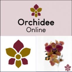 Logo & Huisstijl # 1136016 voor Logo   huisstijl voor orchideeen webshop wedstrijd
