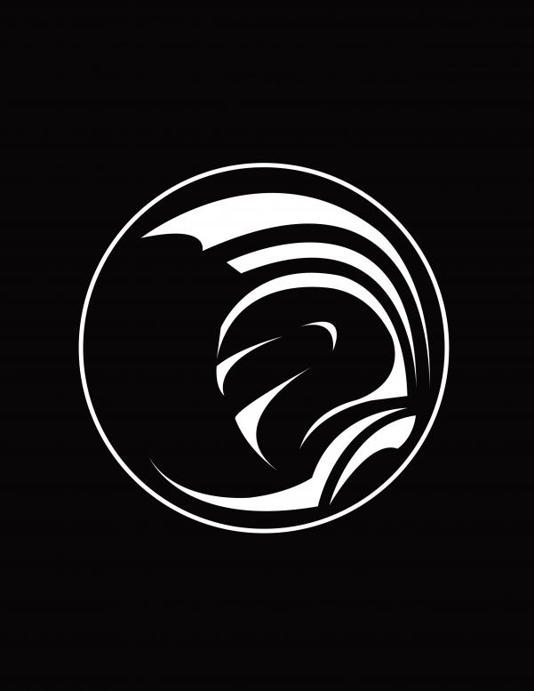 300x300