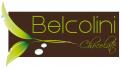 Logo & stationery # 108228 for Belcolini Chocolate contest
