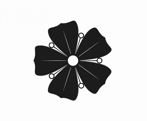 300x300