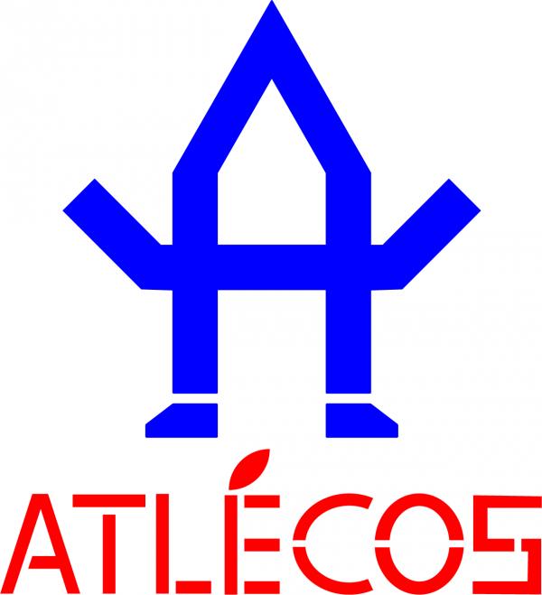 300x300