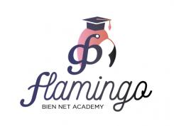 Logo & stationery # 1006964 for Flamingo Bien Net academy contest