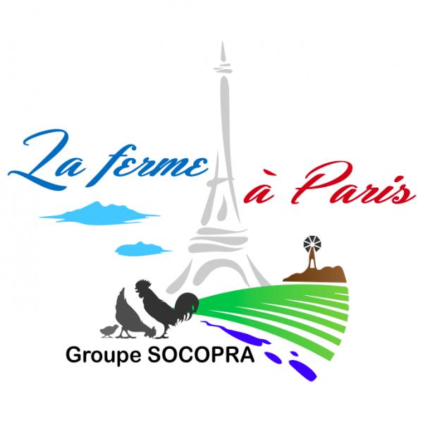 300x300