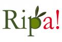 Logo & stationery # 131108 for Ripa! A company that sells olive oil and italian delicates. contest