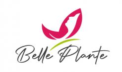 Logo & stationery # 1271390 for Belle Plante contest