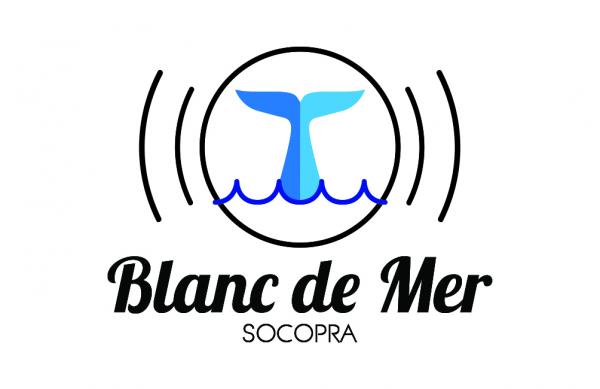 300x300