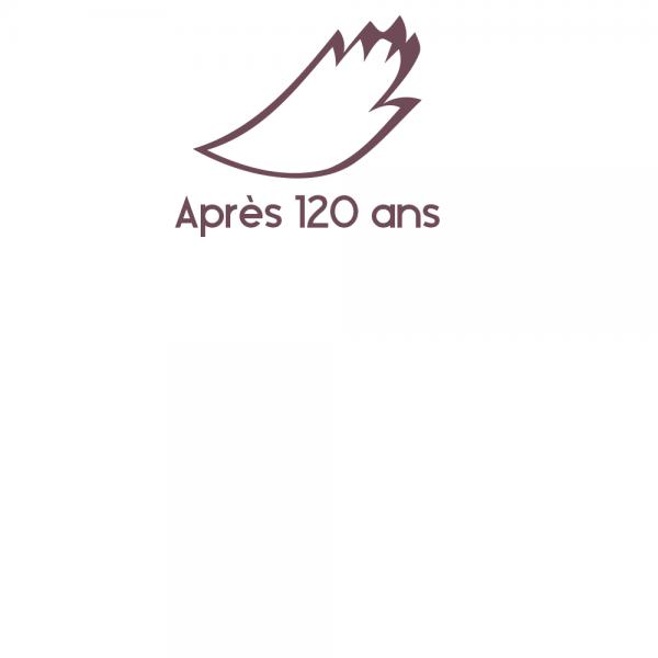300x300
