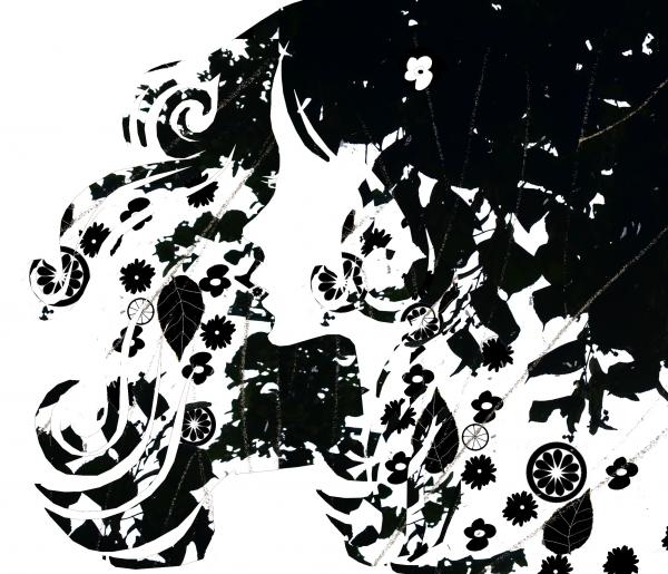 300x300