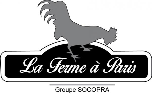 300x300