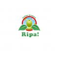 Logo & stationery # 132697 for Ripa! A company that sells olive oil and italian delicates. contest