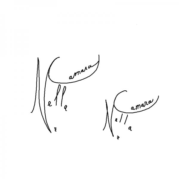 300x300