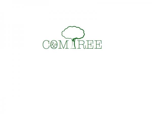 300x300