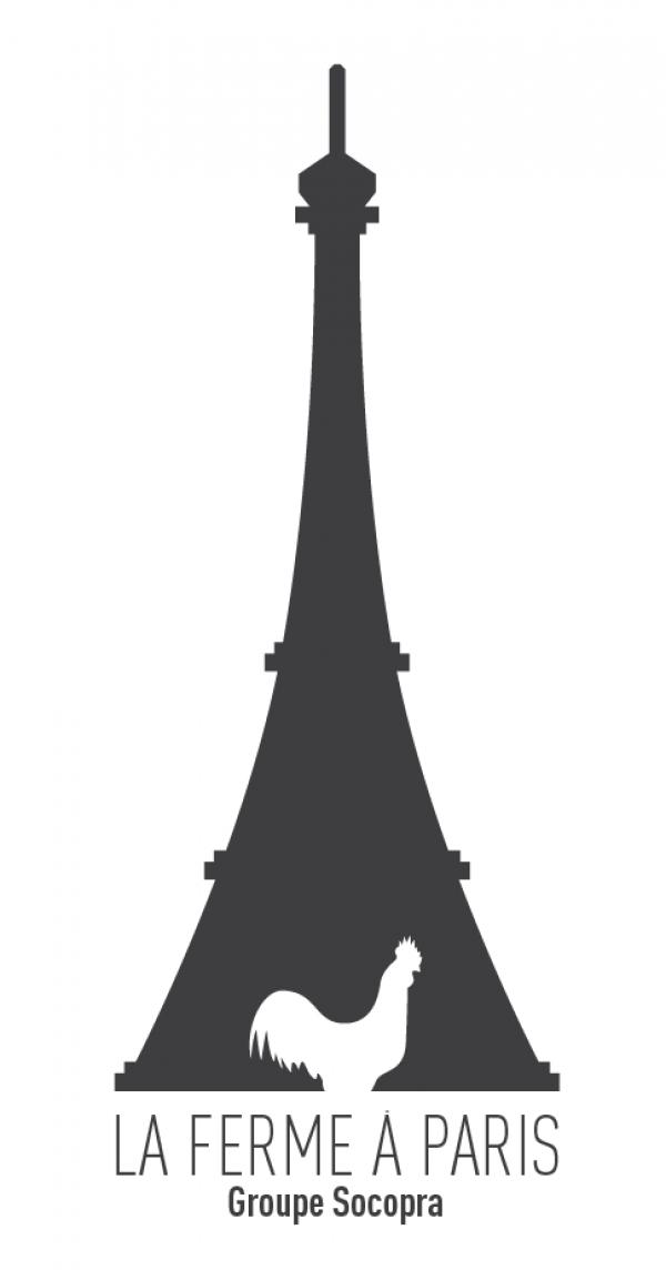 300x300