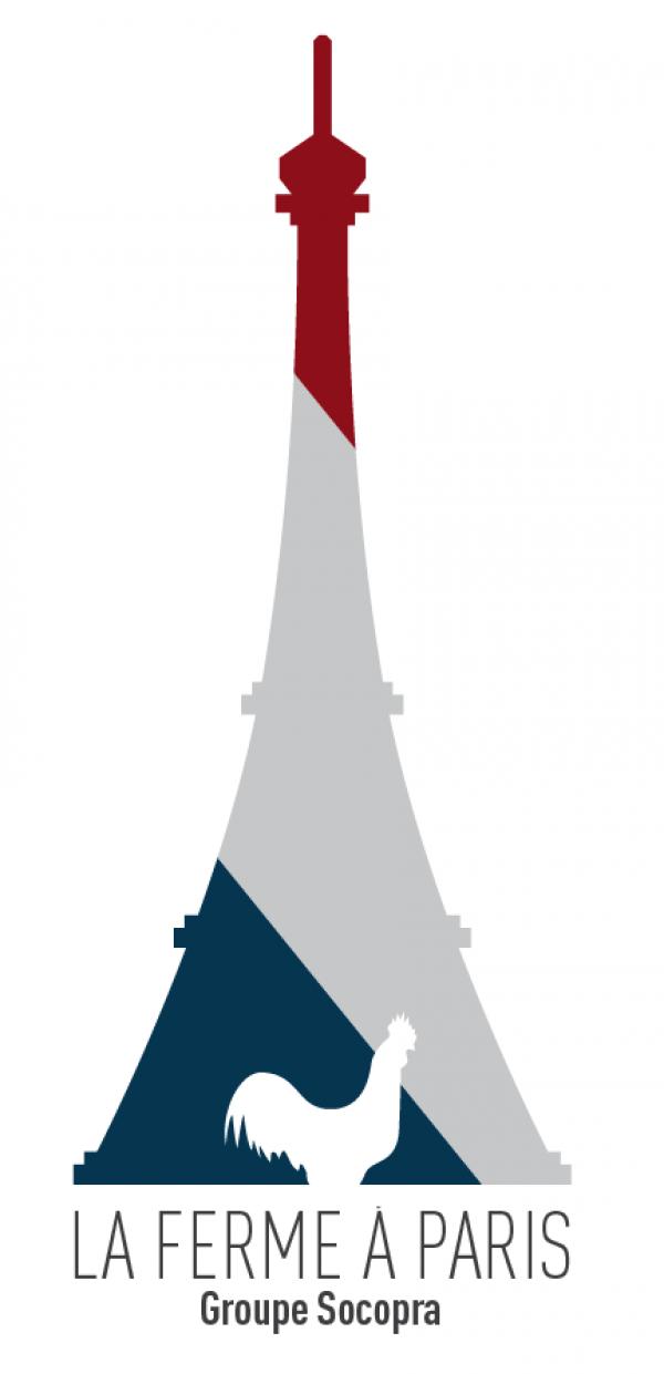 300x300