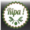 Logo & stationery # 134475 for Ripa! A company that sells olive oil and italian delicates. contest