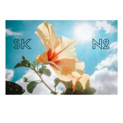 Logo & Huisstijl # 1098712 voor Ontwerp het beeldmerklogo en de huisstijl voor de cosmetische kliniek SKN2 wedstrijd