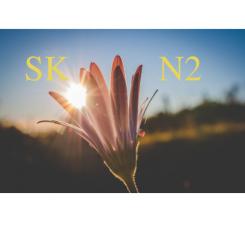 Logo & stationery # 1098714 for Design the logo and corporate identity for the SKN2 cosmetic clinic contest