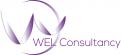 Logo & stationery # 357485 for Wanted: Cool logo and branding for a new small consultancy firm called WEL consulting contest
