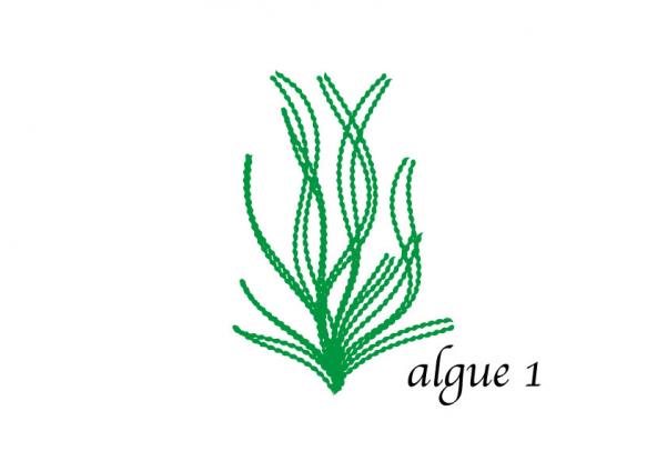 300x300