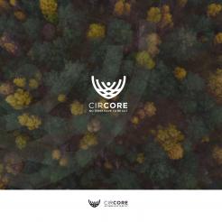 300x300