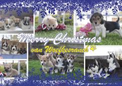 Flyer, (Toegangs)Kaart # 658163 voor Kerst / Nieuwjaarskaart met onze bedrijfskleuren wedstrijd