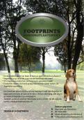 Flyer # 132565 voor Footprints Hondenuitlaatservice Flyer wedstrijd