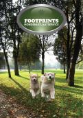 Flyer # 134480 voor Footprints Hondenuitlaatservice Flyer wedstrijd