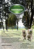 Flyer # 133484 voor Footprints Hondenuitlaatservice Flyer wedstrijd