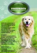 Flyer # 133924 voor Footprints Hondenuitlaatservice Flyer wedstrijd