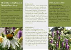 Flyer, (Toegangs)Kaart # 812492 voor Flyer voor concept Plantvak.nl wedstrijd